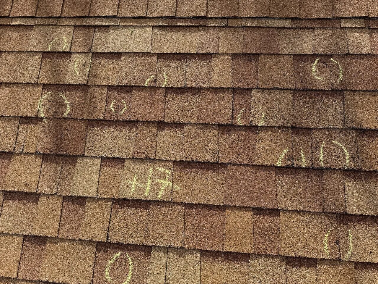 Hail impact marks circled in chalk on a roof