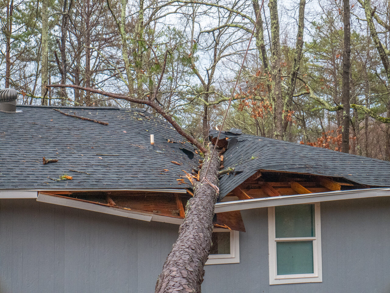 A fallen tree resting on a storm damaged residential roof